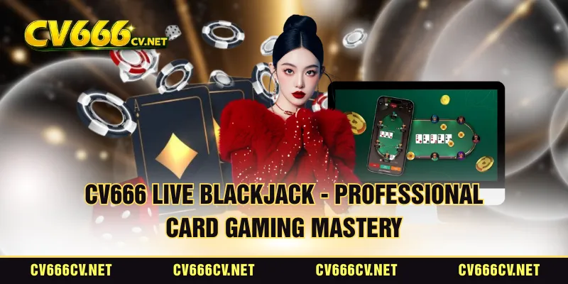 CV666 Live Blackjack - Professional Card Gaming Mastery